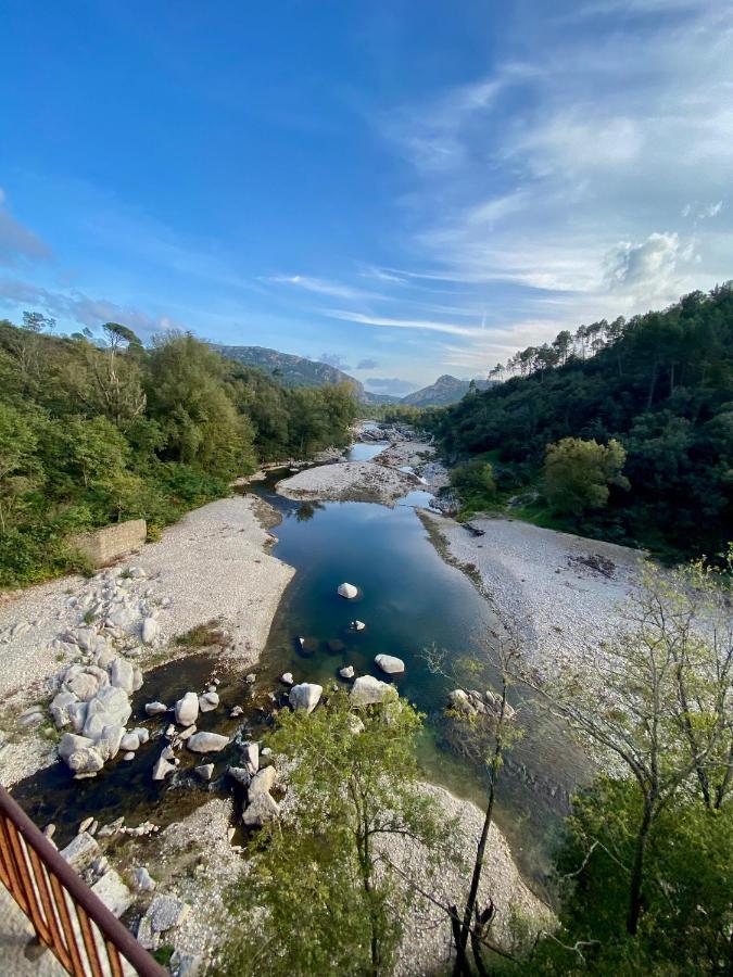 La Frigoule, Un Gite Au Coeur Du Parc Des Cevennes Generargues Exterior photo